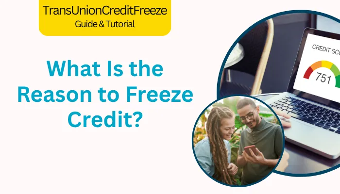 What Is the Reason to Freeze Credit?